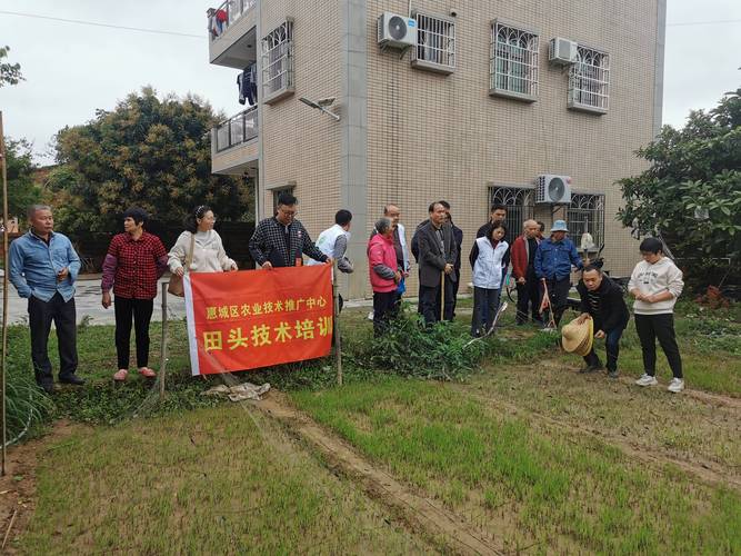農技送到家門口，惠城集市掀起惠農新熱潮